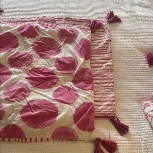 Pottery Barn Kids Pink and White Watercolor Euro Shams